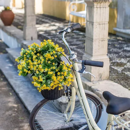 Bed & Breakfast Quinta Do Campo Family Farm Miranda do Corvo