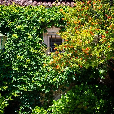 فندق مبيت وإفطار Quinta Do Campo Family Farm