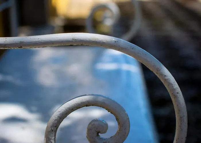 Quinta Do Campo Family Farm Miranda do Corvo