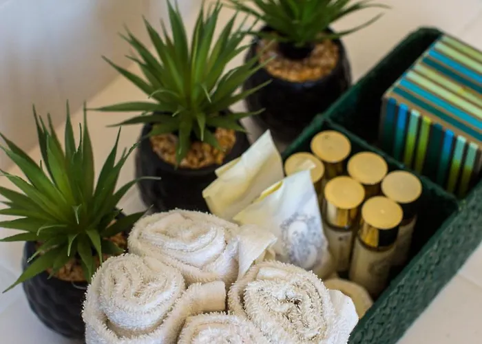 Quinta Do Campo Family Farm * Miranda do Corvo