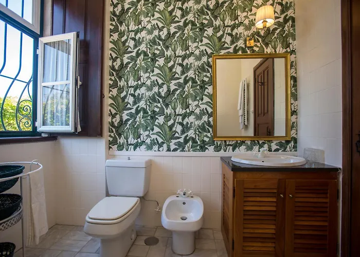 Quinta Do Campo Family Farm * Miranda do Corvo