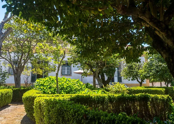 Quinta Do Campo Family Farm