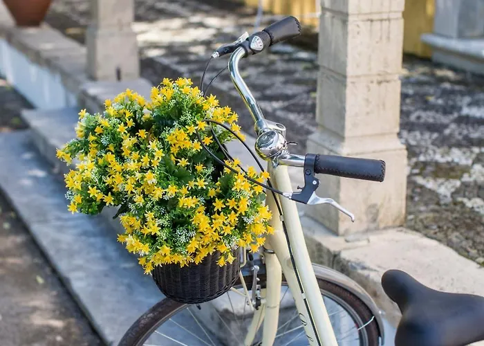 Alojamento de Acomodação e Pequeno-almoço Quinta Do Campo Family Farm Miranda do Corvo
