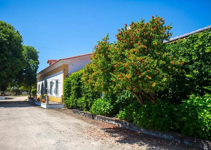 Quinta Do Campo Family Farm Alojamento de Acomodação e Pequeno-almoço Miranda do Corvo