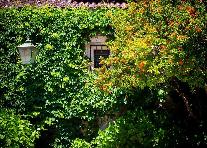 Alojamento de Acomodação e Pequeno-almoço Quinta Do Campo Family Farm